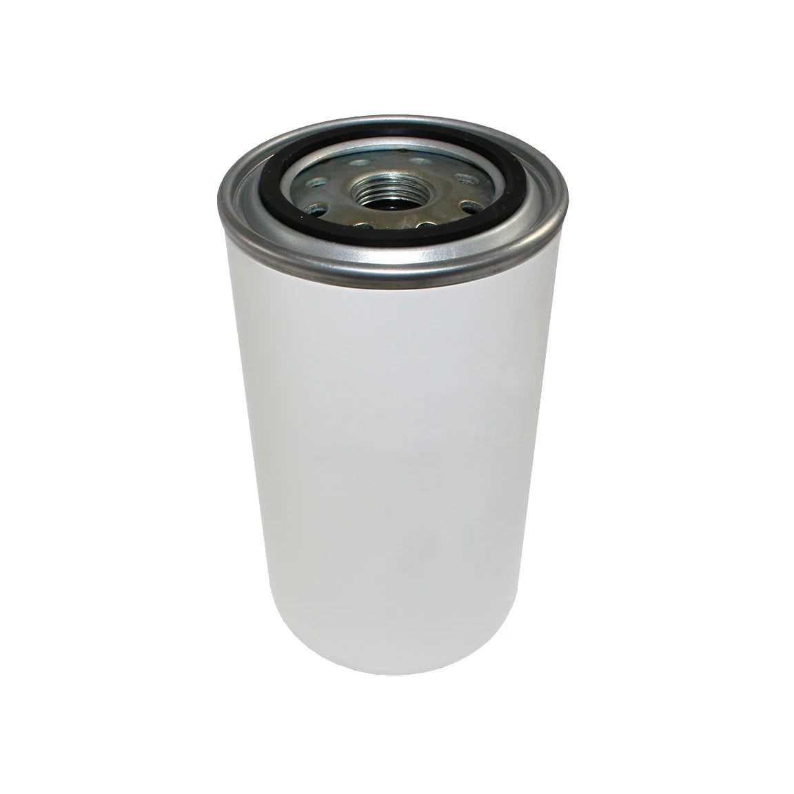 Fuel Filter - S833