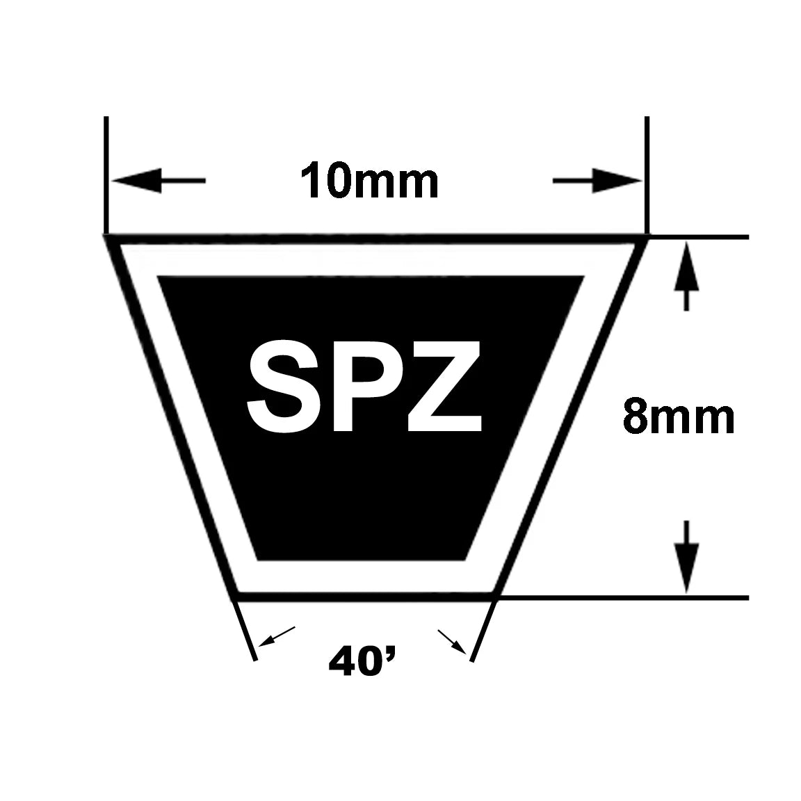 SPZ813 Belt