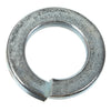 14mm Spring Washer (Qty 100) thumbnail 1