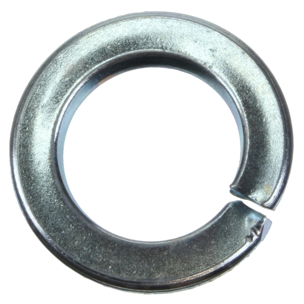 16mm Spring Washer (Qty 100)