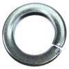 16mm Spring Washer (Qty 100) thumbnail 1