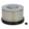 Air Filter fits Lombardini 15LD400 15LD440. Replaces 2175.3060